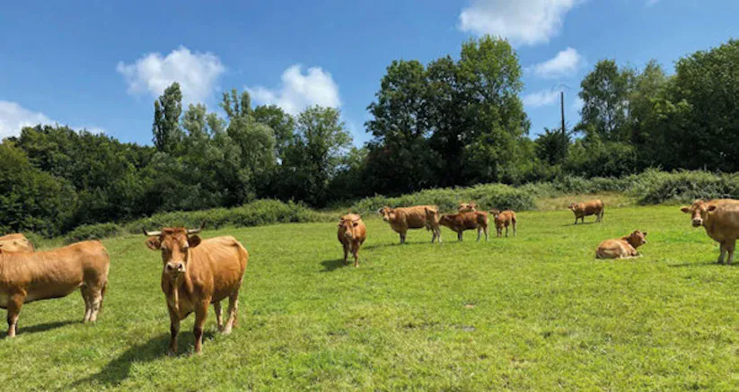 Sécurité alimentaire